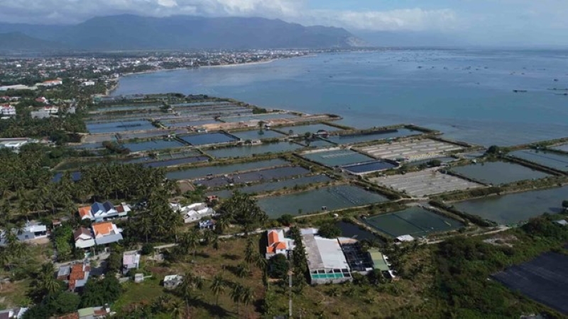 Cập Nhật Mới Nhất Tiến Độ Vinhomes Cam Lâm – Đại Đô Thị Đẳng Cấp Tại “Trái Tim” Khánh Hòa