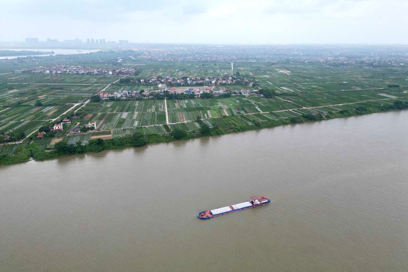 quy-hoach-cau-me-so4